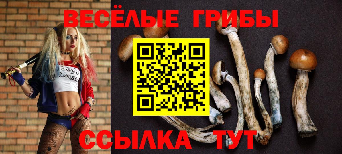 Ярославль  Псилоцибиновые грибы GOLDEN TEACHER  магазин продажи наркотиков  Вход с VPN 