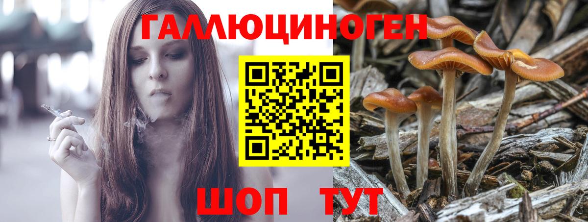 Псилоцибиновые грибы мицелий Ярославль